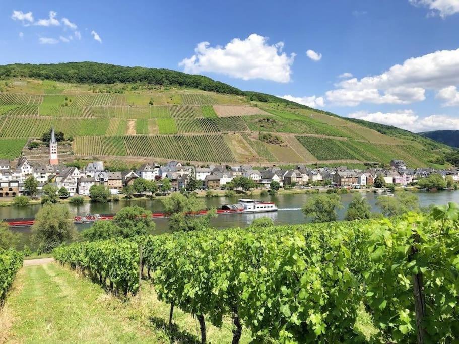 Ferienhaus Schwanennest Zell an der Mosel Dış mekan fotoğraf